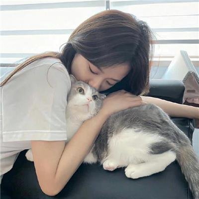 容易受伤的玫瑰