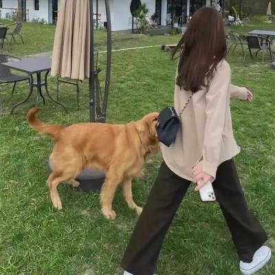 玉米地的小孩：大逃亡